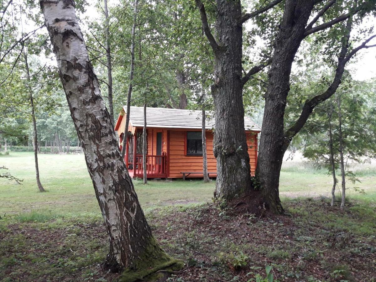 Pie Andra Pitragā Hotell Pitrags Exteriör bild